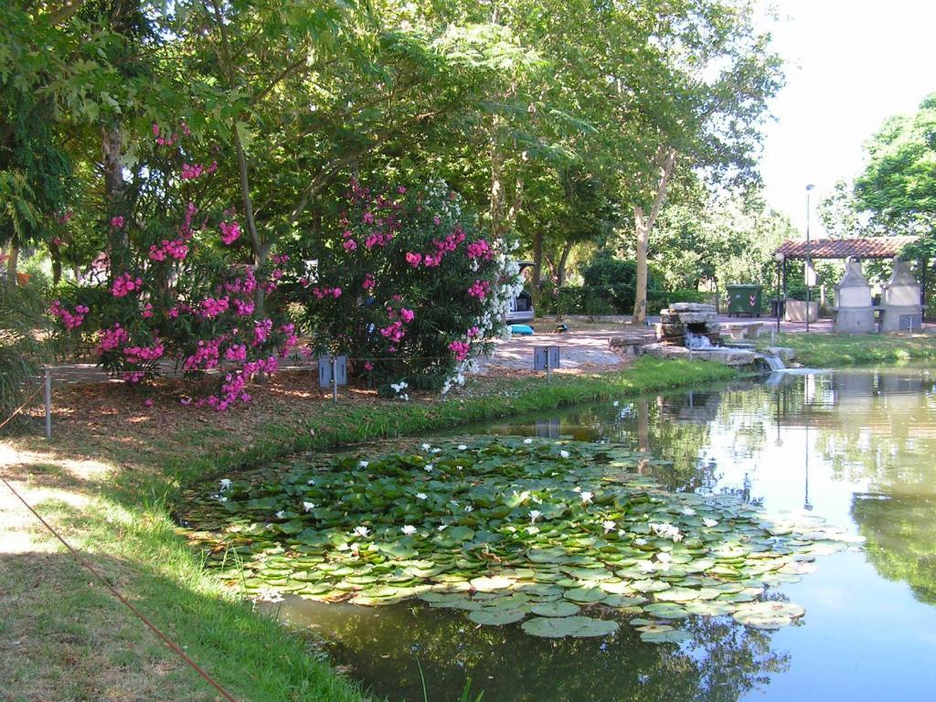 Camping Villaggio Italgest Sant'Arcangelo  Bagian luar foto