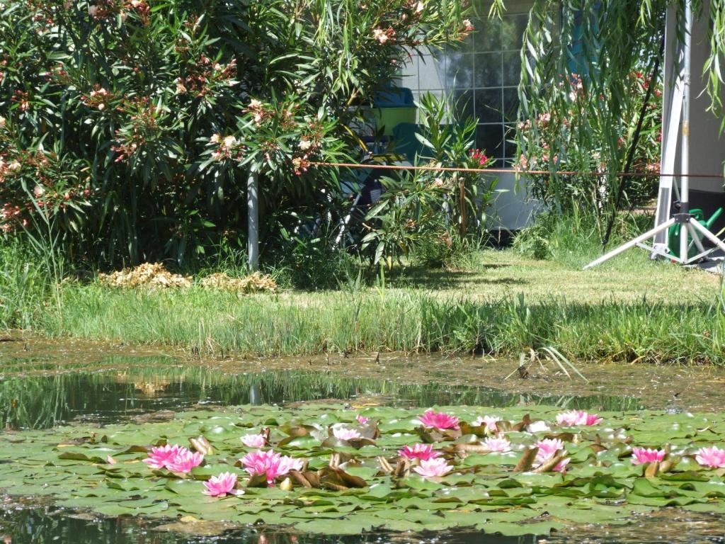 Camping Villaggio Italgest Sant'Arcangelo  Bagian luar foto